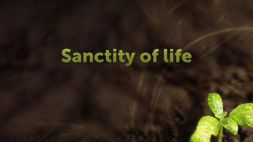 Sanctity of life
