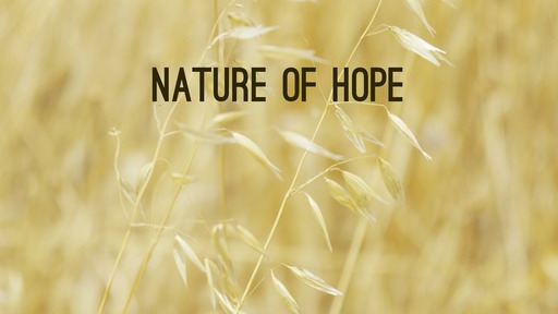 Nature of hope