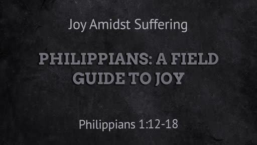 Joy Amidst Suffering