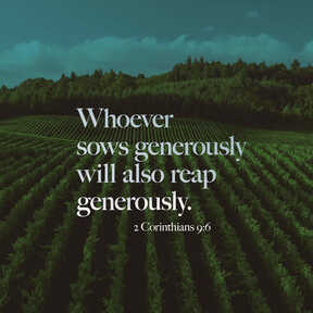 What Is Stewardship
