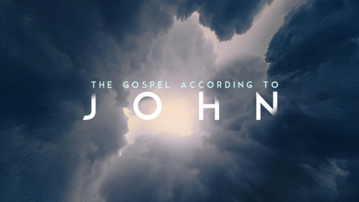 THE GOSPEL ACCORDING TO JOHN