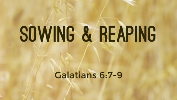 614 - Sowing & Reaping - Logos Sermons