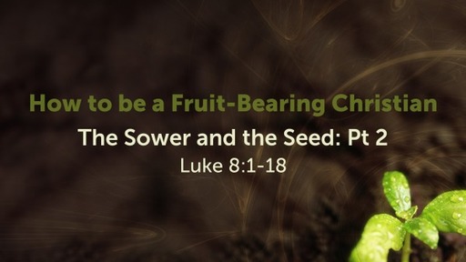 How to be a Fruit-Bearing Christian- The Sower and the Seed: Part 2