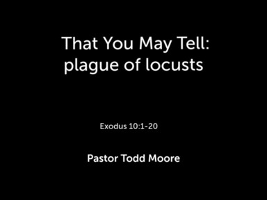 The LORD In Our Midst: plagues of flies, livestock, & boils