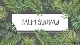 Palm Leaves  PowerPoint Photoshop image 1