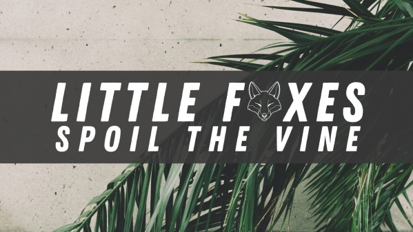 Little Foxes Spoil The Vine - Logos Sermons