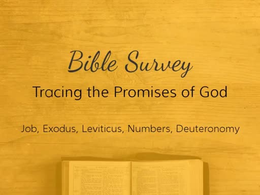 BSUR006-Bible Survey, Job & Exodus thru Deuteronomy, February 15, 2017