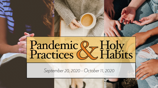 Pandemic Practices & Holy Habits
