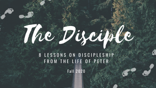 The Disciple: 8 Lessons on Discipleship from the life of Peter - Cast Your Nets Wide & Intentionally [ Week 8 ]
