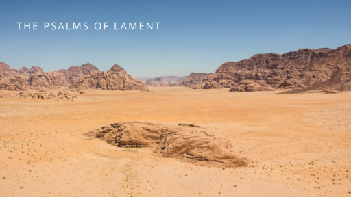 The Psalms of Lament: Psalm 13