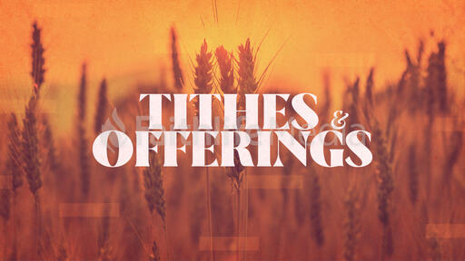Tithes & Offering Wheat