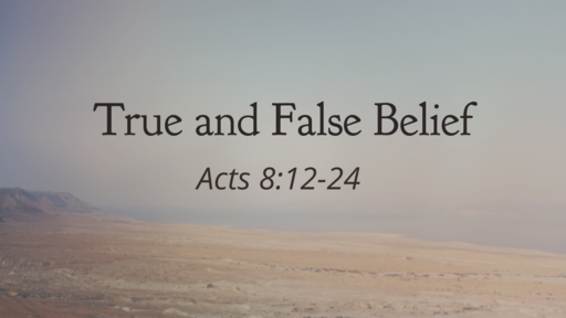 True and False Belief