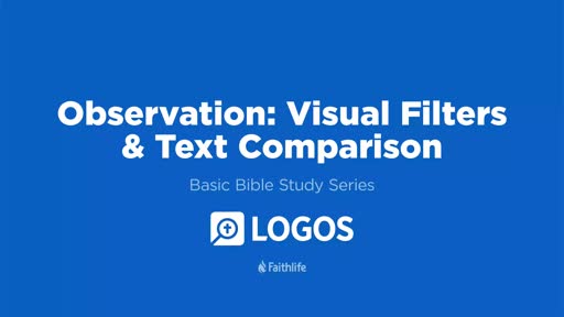 3. Observation: Visual Filters & Text Comparison