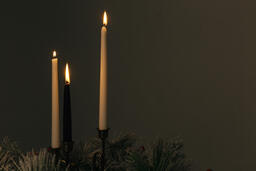 Candles and Christmas Greenery  image 2