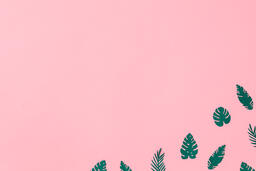 Tropical Leaves on Pink Background  image 6