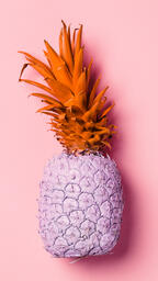 Colorful Pineapple on Pink Background  image 6