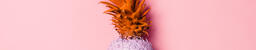 Colorful Pineapple on Pink Background  image 11