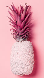 Colorful Pineapple on Pink Background  image 10