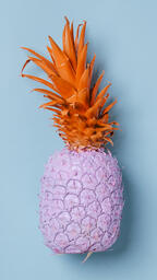 Colorful Pineapple on Blue Background  image 21