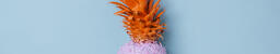 Colorful Pineapple on Blue Background  image 12