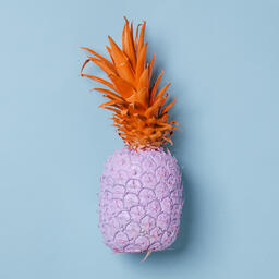 Colorful Pineapple on Blue Background  image 31