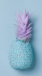 Colorful Pineapple on Blue Background  image 22