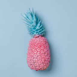 Colorful Pineapple on Blue Background  image 10