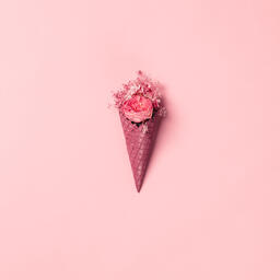 Pink Ice Cream Cone Filled with Flowers  image 10