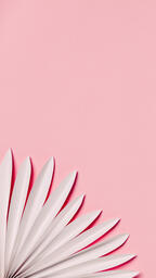 White Palm on Pink Background  image 3