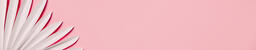 White Palm on Pink Background  image 7