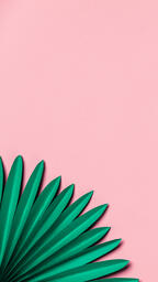 Green Palms on Pink Background  image 4