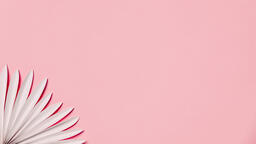 White Palm on Pink Background  image 6