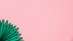 Green Palms on Pink Background  image 8