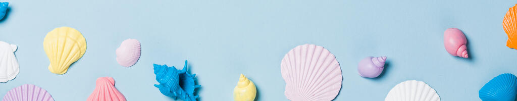 Painted Sea Shells on Blue Background large preview