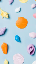 Painted Sea Shells on Blue Background  image 4