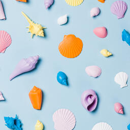 Painted Sea Shells on Blue Background  image 10