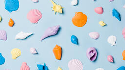 Painted Sea Shells on Blue Background  image 5