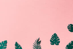 Tropical Leaves on Pink Background  image 5