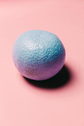 Blue Citrus on Pink Background  image 2