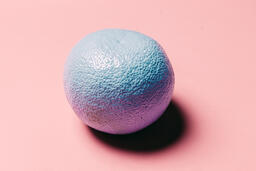 Blue Citrus on Pink Background  image 3