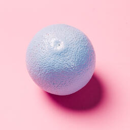 Blue Citrus on Pink Background  image 6