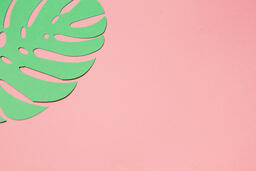 Tropical Paper Leaves on Pink Background  image 2