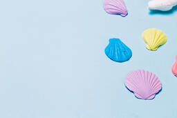Painted Sea Shells on Blue Background  image 8
