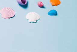 Painted Sea Shells on Blue Background  image 21