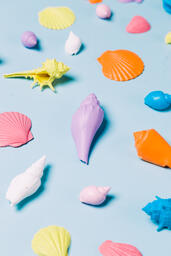 Painted Sea Shells on Blue Background  image 20