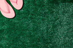 Pink Flip Flops on Grass  image 1