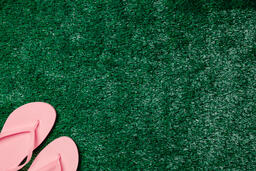 Pink Flip Flops on Grass  image 2