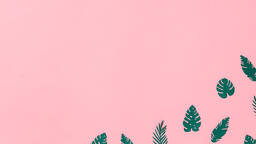 Tropical Leaves on Pink Background  image 9
