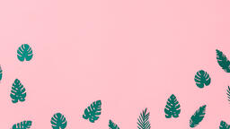 Tropical Leaves on Pink Background  image 1