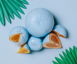 Blue Citrus on Blue Background with Palm Leaves  image 2